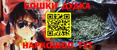 гидропоника Камышлов