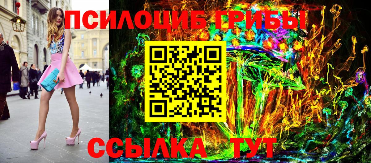 Галлюциногенные грибы MAGIC MUSHROOMS  Вход с VPN  Куйбышев 