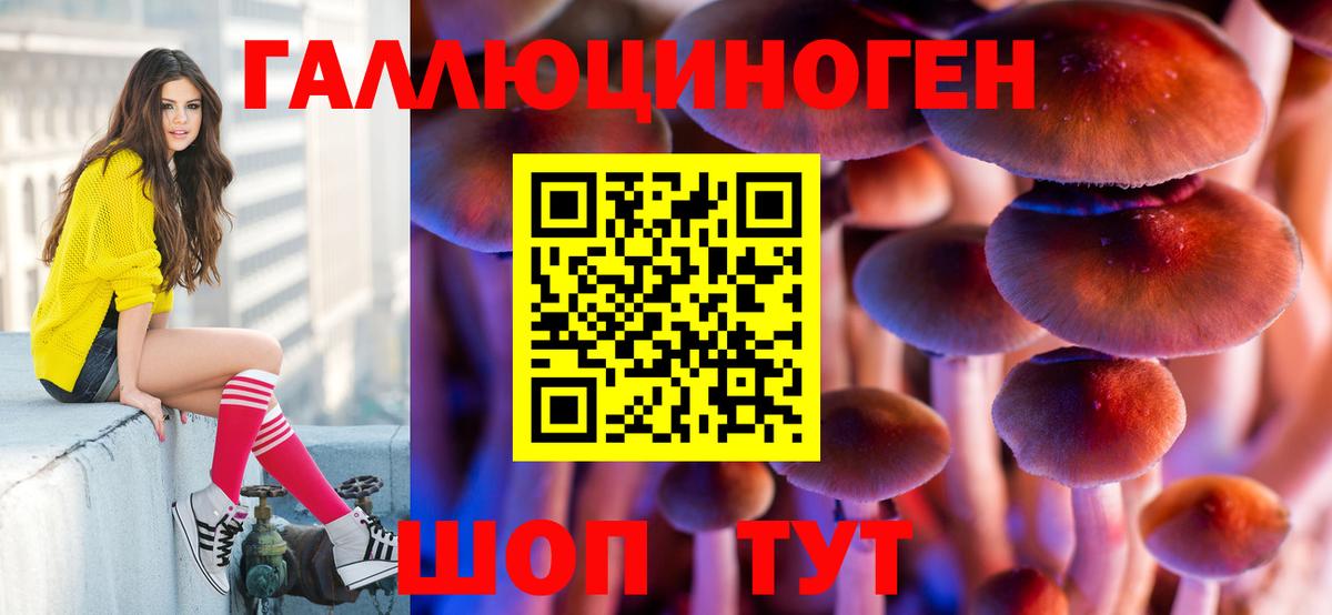 Галлюциногенные грибы GOLDEN TEACHER Куйбышев